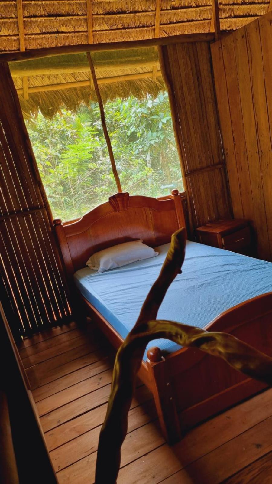 Castana Amazon Park Albergue Puerto Maldonado Exterior foto