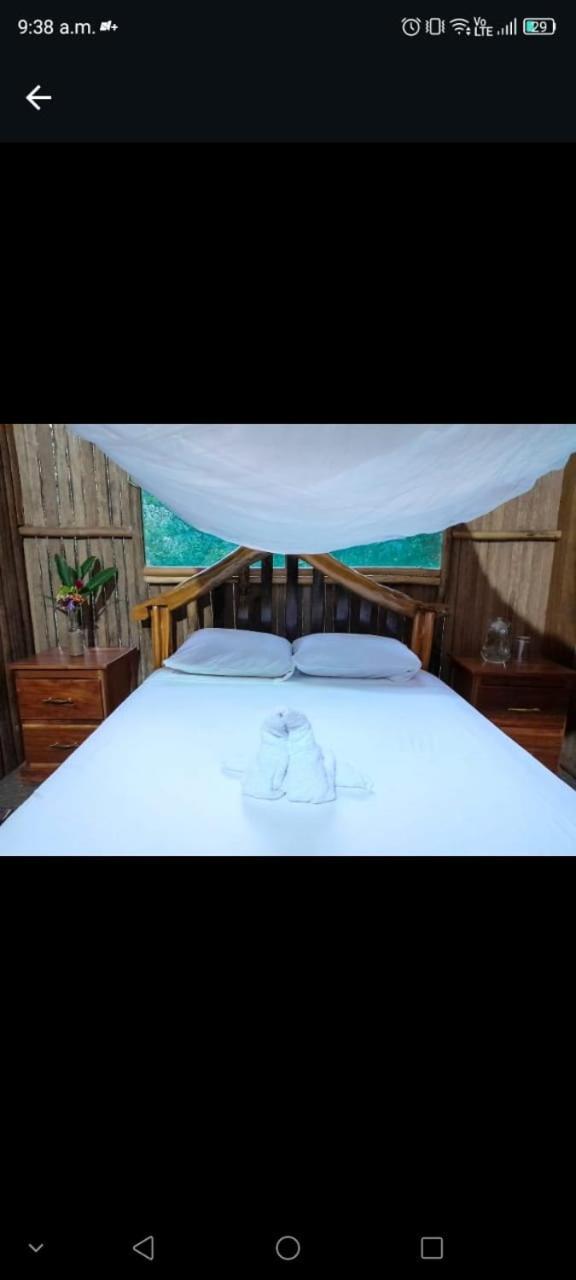 Castana Amazon Park Albergue Puerto Maldonado Exterior foto
