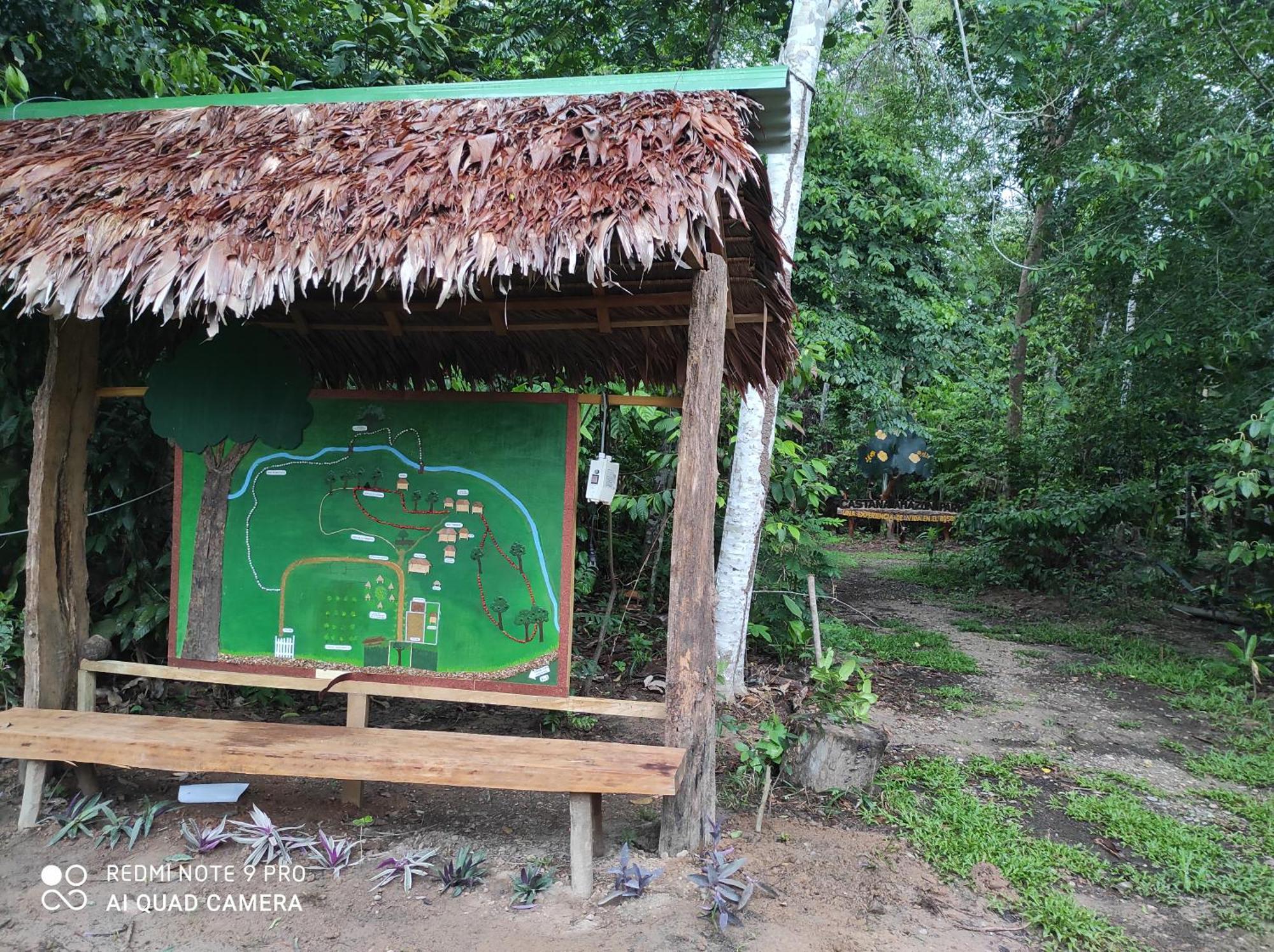 Castana Amazon Park Albergue Puerto Maldonado Exterior foto